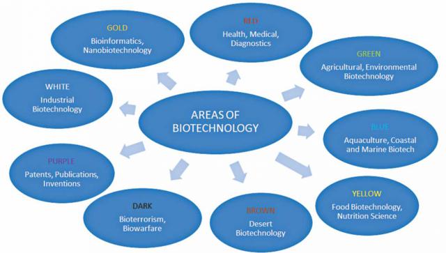 biotechnology phd area