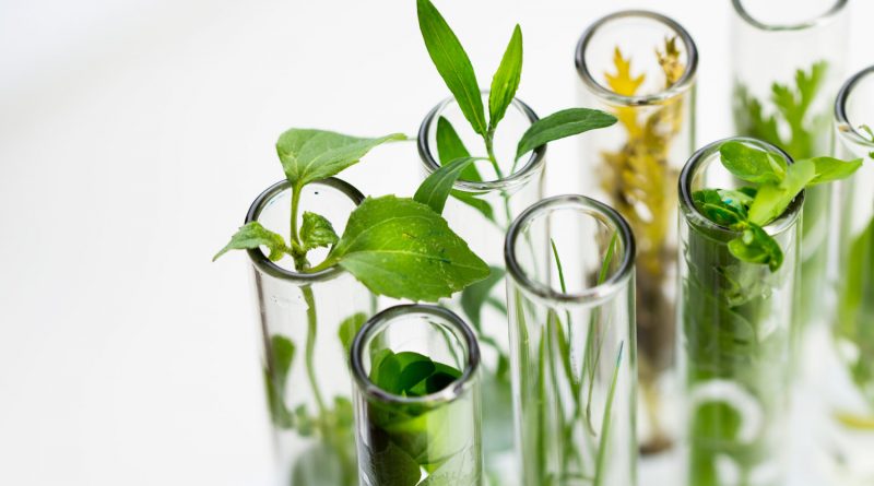 Branches-of-Biotechnology-Green-Biotech